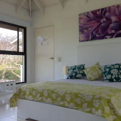 Отель Casa de las Flores Tropical Lodge Колумбия, Сан-Андрес - отзывы, цены и фото номеров - забронировать отель Casa de las Flores Tropical Lodge онлайн комната для гостей