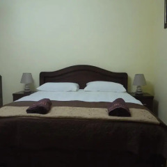 Family Hotel Mountain Scream Тбилиси комната для гостей фото 3