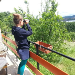 Отель Mihaela Lake Retreat Болгария, Карджали - отзывы, цены и фото номеров - забронировать отель Mihaela Lake Retreat онлайн балкон