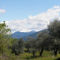 Отель El Corral de Villacampa