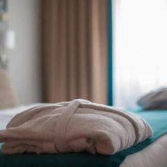 Hanza Hotel 4* Полулюкс с различными типами кроватей фото 5
