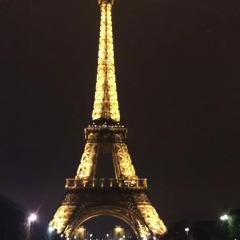 Отель Residence Champs de Mars