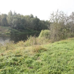 Гостиница Agroysadba Pavlova фото 3