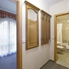 Отель Pension Villa Rosa 3* Стандартный номер с различными типами кроватей фото 5