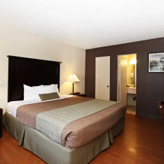 Отель Royal Pagoda Motel США, Лос-Анджелес - отзывы, цены и фото номеров - забронировать отель Royal Pagoda Motel онлайн комната для гостей фото 3