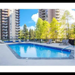 Отель Pelican Suites At Burnaby Канада, Бурнаби - отзывы, цены и фото номеров - забронировать отель Pelican Suites At Burnaby онлайн бассейн фото 3