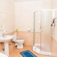 Гостиница Дионис 4* Люкс с двуспальной кроватью фото 17