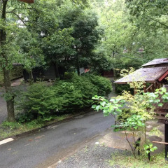 Отель Kurasako Onsen Sakura Япония, Минамиогуни - отзывы, цены и фото номеров - забронировать отель Kurasako Onsen Sakura онлайн фото 8