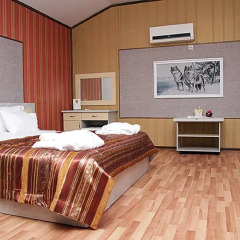 Hotel Golden Lion комната для гостей фото 5