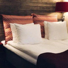 Hotel Albatross 3* Номер категории Эконом с двуспальной кроватью
