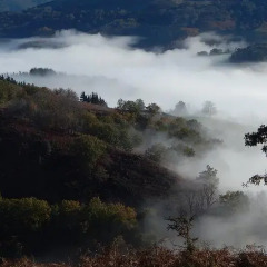 Отель Xantalen Spa Лесака фото 3