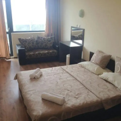 Апартаменты Dilov Apartments In Yalta Golden Sands комната для гостей фото 3