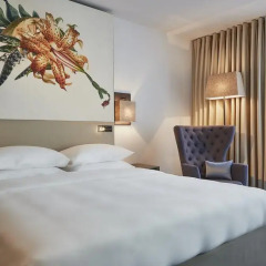 Отель Hyatt Regency Amsterdam Стандартный номер с красивым видом с двуспальной кроватью