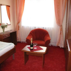 Spa Hotel Purkyně комната для гостей