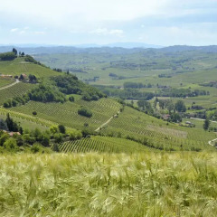Отель Cascina San Michele Костиглиоле-д'Асти фото 4