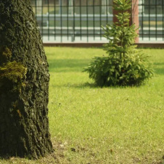 Гостиница Westa Беларусь, Хатежино - 2 отзыва об отеле, цены и фото номеров - забронировать гостиницу Westa онлайн фото 4