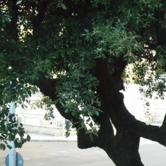 Отель Adige Лечче