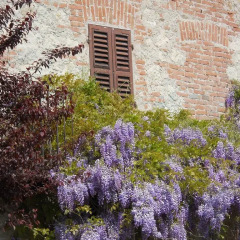 Отель Bed And Breakfast IL Garoch Мерана