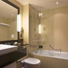 Отель Sheraton Zürich Neues Schloss Hotel Швейцария, Цюрих - отзывы, цены и фото номеров - забронировать отель Sheraton Zürich Neues Schloss Hotel онлайн ванная фото 2