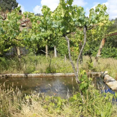 Отель Casa de Santa Cristina Португалия, Марку-ди-Канавезиш - отзывы, цены и фото номеров - забронировать отель Casa de Santa Cristina онлайн приотельная территория