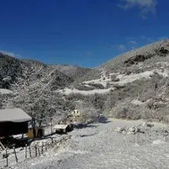 Отель Homestay Süllü Dağ Evi Гиресун фото 11