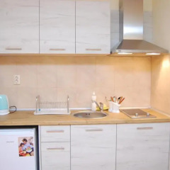 Апартаменты Elit Pamporovo Apartments Студия с различными типами кроватей фото 8