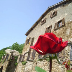 Отель B&B IL Giardino del Borgo Виторкиано