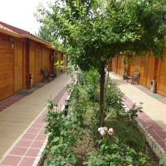 Отель Hostal Gran Avenida Саэлисес фото 7
