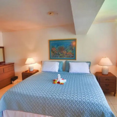 Отель Moon San Villa at the Blue Lagoon Ямайка, Порт Антонио - отзывы, цены и фото номеров - забронировать отель Moon San Villa at the Blue Lagoon онлайн комната для гостей фото 3