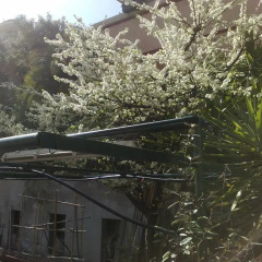 Отель Villa Azzurra - Genova Resort B&B Accomodations Студия