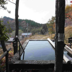 Отель Ryokan Kono-Yu Минамиогуни бассейн