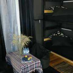 Отель Hostel Shark Грузия, Тбилиси - отзывы, цены и фото номеров - забронировать отель Hostel Shark онлайн комната для гостей фото 2