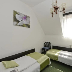 Budai Hotel 3* Стандартный номер с различными типами кроватей фото 6