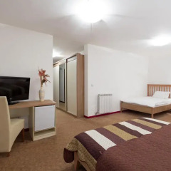 Garni Hotel Villa Family 2* Номер категории Эконом фото 8