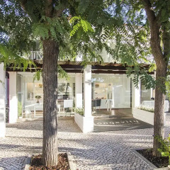 Отель Longevity Cegonha Country Club Португалия, Пешао - отзывы, цены и фото номеров - забронировать отель Longevity Cegonha Country Club онлайн фото 3