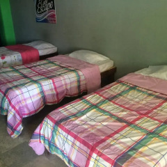 Baja's Cactus Hostel Стандартный номер с различными типами кроватей фото 4