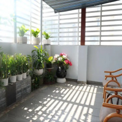 Thuy Sakura Hotel & Serviced Apartment 3* Люкс с различными типами кроватей