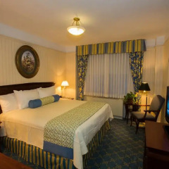 Wellington Hotel 3* Стандартный номер с различными типами кроватей фото 4