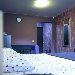 Отель Цветы Стандартный номер фото 40