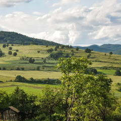 Отель Cob camp Бунгало фото 10