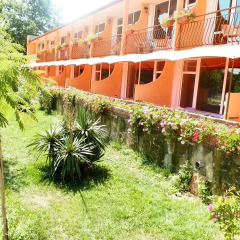 Hotel Surf