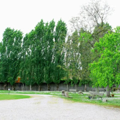 Отель Villa Olanda Италия, Мира - отзывы, цены и фото номеров - забронировать отель Villa Olanda онлайн спортивное сооружение