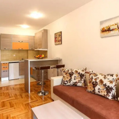 Апартаменты Adriatik Budva apartments Апартаменты с различными типами кроватей фото 11