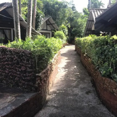 Отель Pine Bungalow фото 6