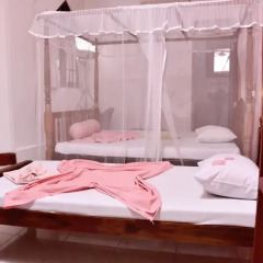 Отель Blue Eyes Inn Номер Делюкс с различными типами кроватей фото 11