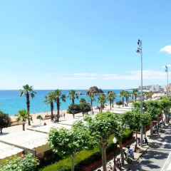 Отель Apartamentos Blanes Испания, Бланес - отзывы, цены и фото номеров - забронировать отель Apartamentos Blanes онлайн балкон