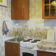 Апартаменты Apartment Na Kameneva в номере