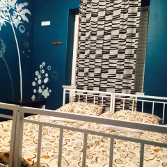 Zebra Hostel & Tours