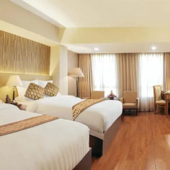 Nhat Ha 1 Hotel 3* Номер Делюкс с различными типами кроватей фото 4