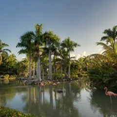Отель Melia Caribe Tropical - Все включено фото 4